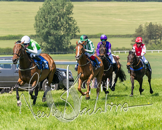 Pony Races  (80 of 141)
