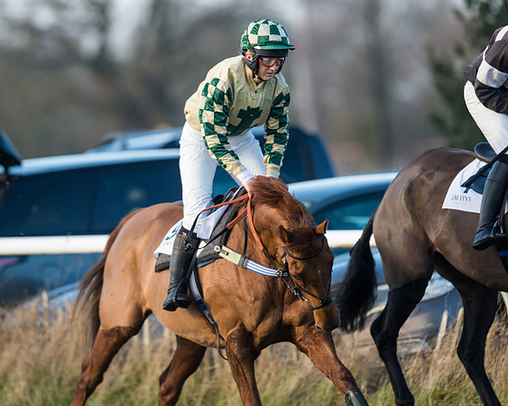 Race 2 - PPORA Novice Riders  (20 of 205)
