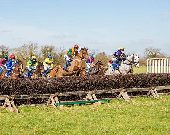 Race 1 - Open Maiden Division 2 (48 of 173)