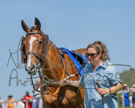 Race 1 - Owner Trainers Conditions (level 3) (6 of 61)