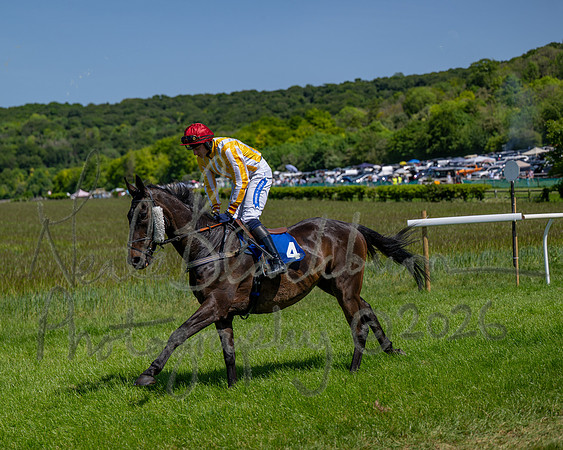 Race 1 - Owner Trainers Conditions (level 3) (16 of 61)