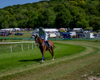 Race 1 - Owner Trainers Conditions (level 3) (19 of 61)