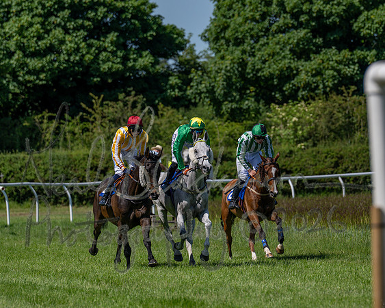 Race 1 - Owner Trainers Conditions (level 3) (25 of 61)