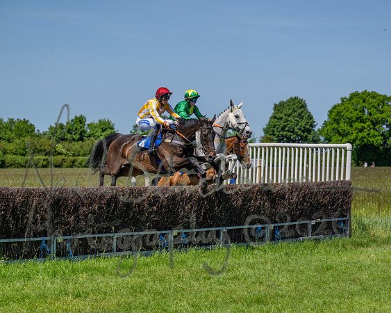 Race 1 - Owner Trainers Conditions (level 3) (26 of 61)