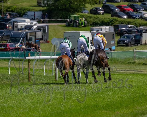 Race 1 - Owner Trainers Conditions (level 3) (31 of 61)