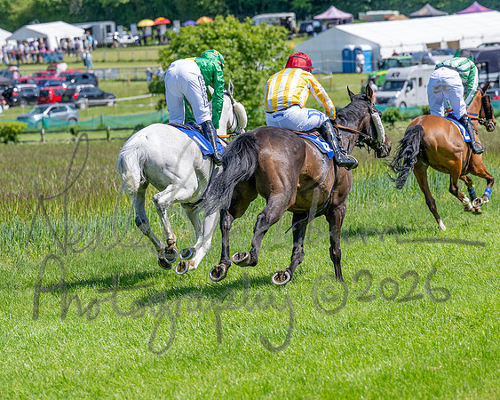 Race 1 - Owner Trainers Conditions (level 3) (36 of 61)