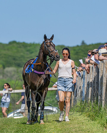Race 3 - CBTR Conditions (Level 3) (2 of 92)