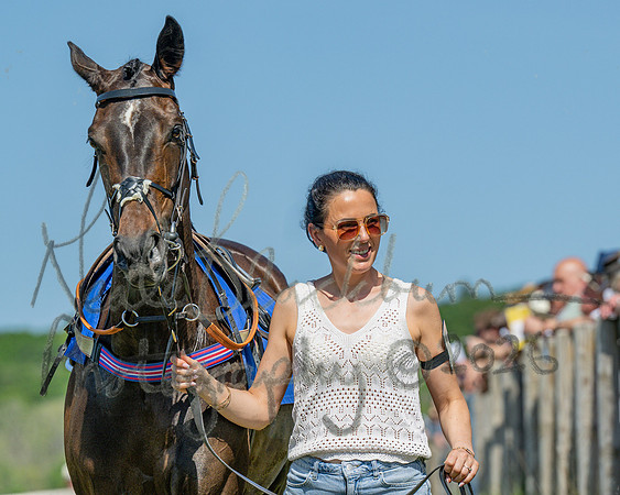 Race 3 - CBTR Conditions (Level 3) (3 of 92)