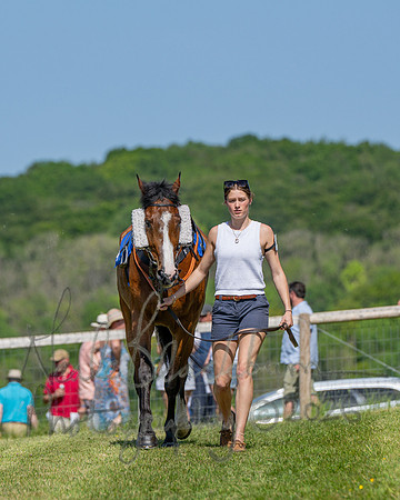 Race 3 - CBTR Conditions (Level 3) (5 of 92)