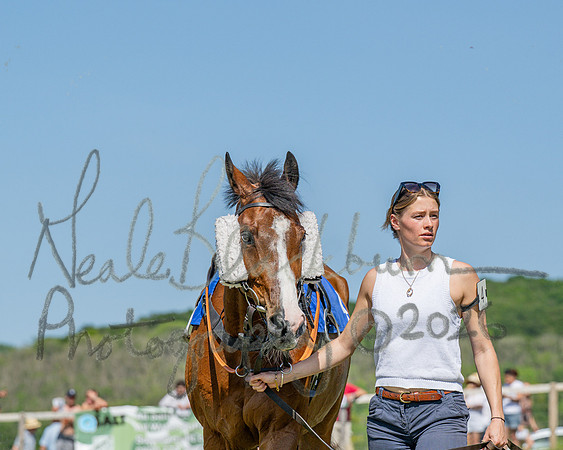 Race 3 - CBTR Conditions (Level 3) (6 of 92)