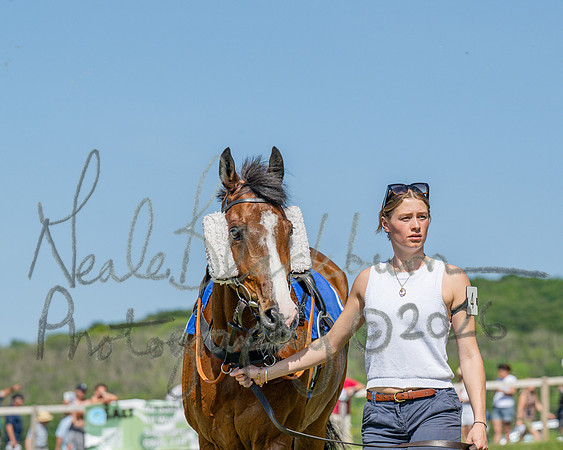 Race 3 - CBTR Conditions (Level 3) (7 of 92)