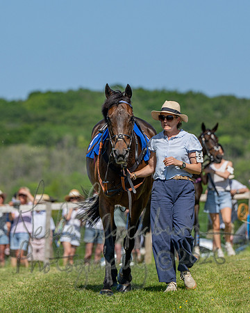 Race 3 - CBTR Conditions (Level 3) (8 of 92)