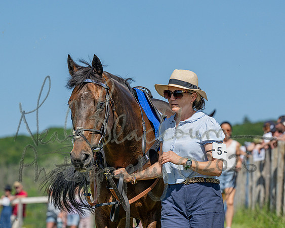 Race 3 - CBTR Conditions (Level 3) (10 of 92)