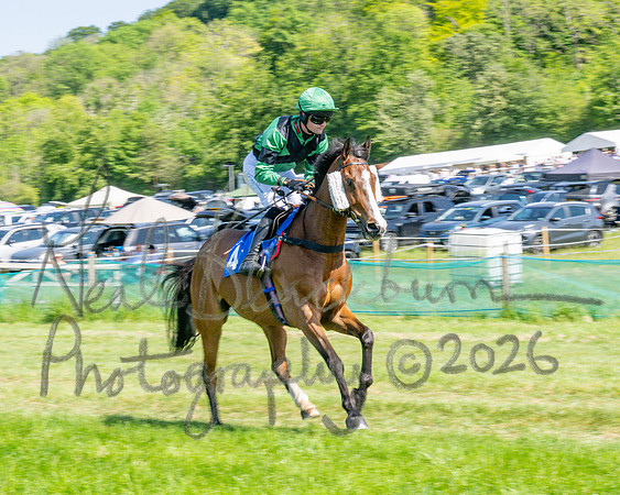Race 3 - CBTR Conditions (Level 3) (22 of 92)