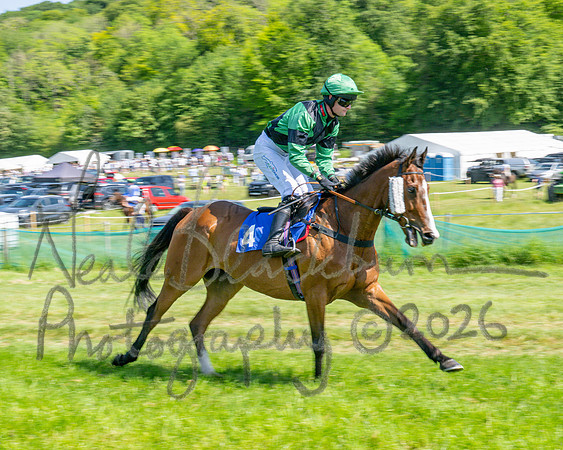 Race 3 - CBTR Conditions (Level 3) (27 of 92)