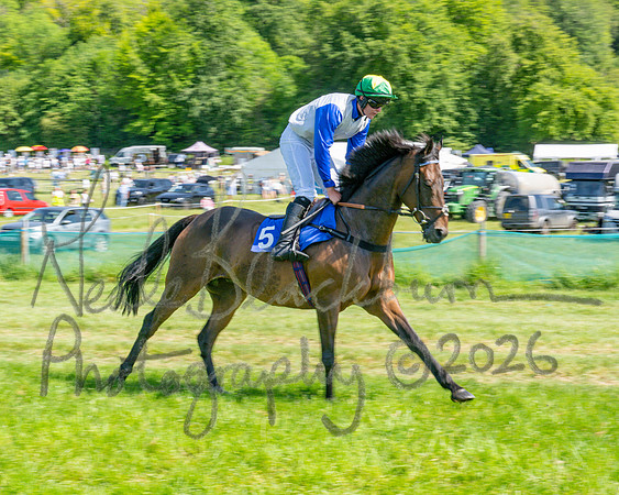 Race 3 - CBTR Conditions (Level 3) (31 of 92)
