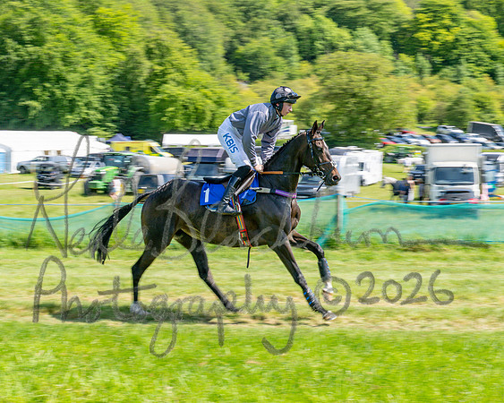 Race 3 - CBTR Conditions (Level 3) (36 of 92)