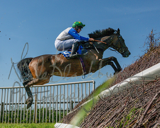Race 3 - CBTR Conditions (Level 3) (50 of 92)