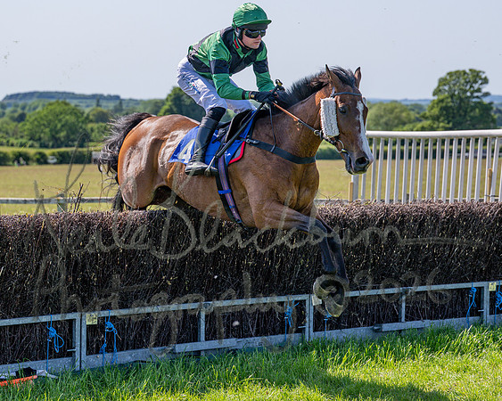 Race 3 - CBTR Conditions (Level 3) (60 of 92)