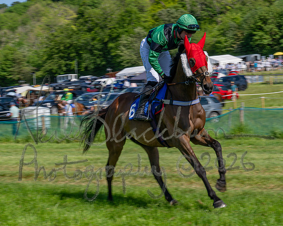 Race 4 - The Mixed Open (5 of 79)