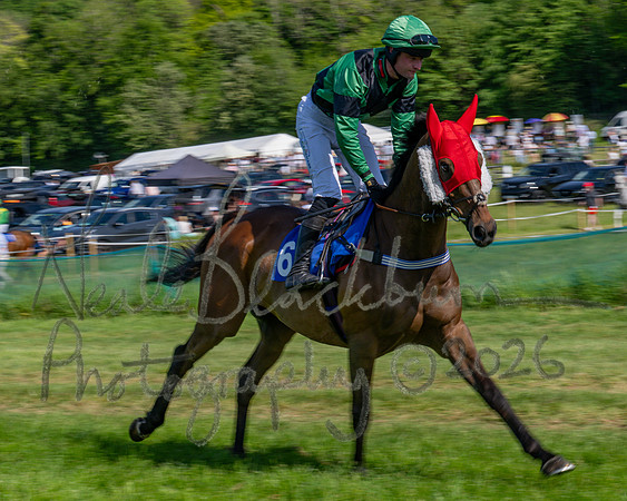 Race 4 - The Mixed Open (7 of 79)