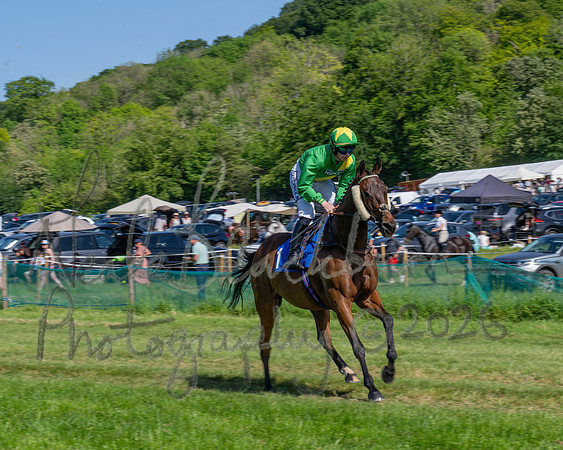 Race 4 - The Mixed Open (10 of 79)