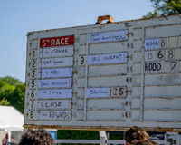 Race 5 - The Restricted (1 of 103)