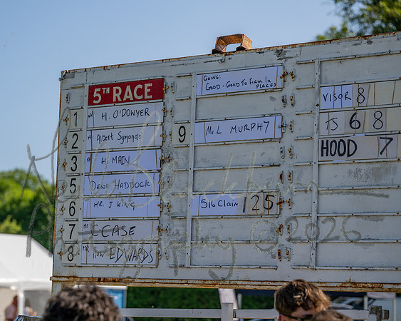 Race 5 - The Restricted (1 of 103)