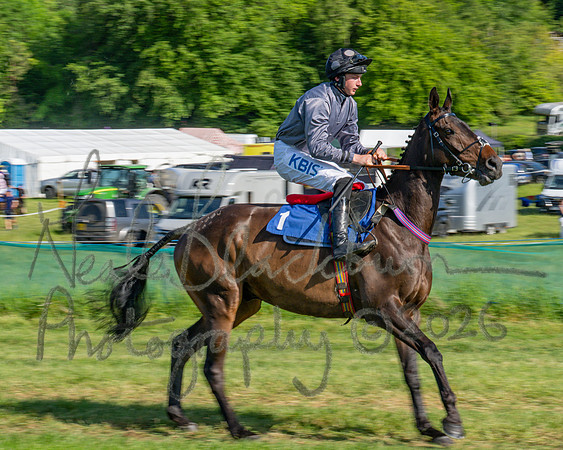 Race 5 - The Restricted (2 of 103)