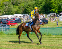Race 5 - The Restricted (4 of 103)
