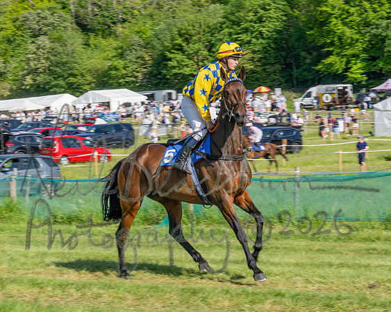 Race 5 - The Restricted (4 of 103)
