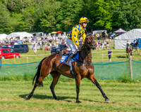 Race 5 - The Restricted (5 of 103)