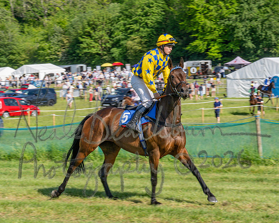 Race 5 - The Restricted (5 of 103)