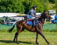 Race 5 - The Restricted (3 of 103)