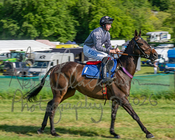Race 5 - The Restricted (3 of 103)