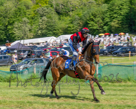 Race 5 - The Restricted (7 of 103)