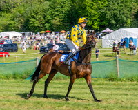 Race 5 - The Restricted (6 of 103)