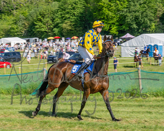 Race 5 - The Restricted (6 of 103)