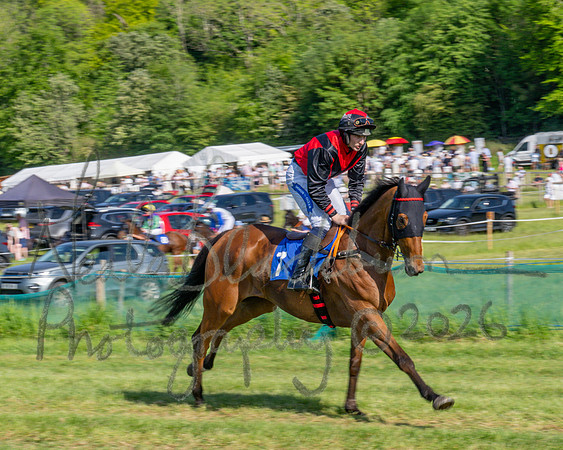 Race 5 - The Restricted (8 of 103)