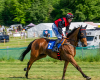 Race 5 - The Restricted (9 of 103)