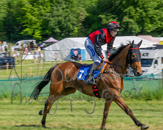 Race 5 - The Restricted (9 of 103)