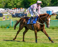 Race 5 - The Restricted (10 of 103)