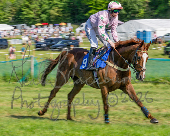 Race 5 - The Restricted (10 of 103)