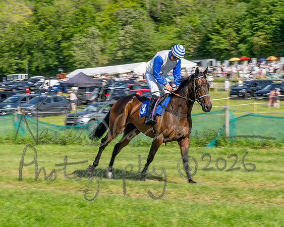Race 5 - The Restricted (12 of 103)