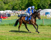 Race 5 - The Restricted (13 of 103)
