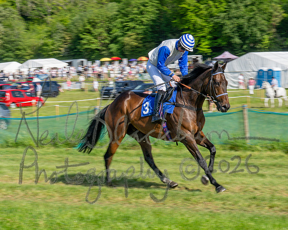Race 5 - The Restricted (13 of 103)