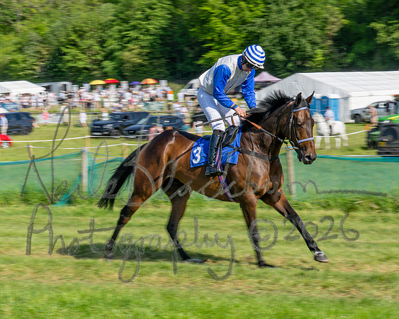 Race 5 - The Restricted (14 of 103)