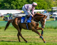 Race 5 - The Restricted (11 of 103)