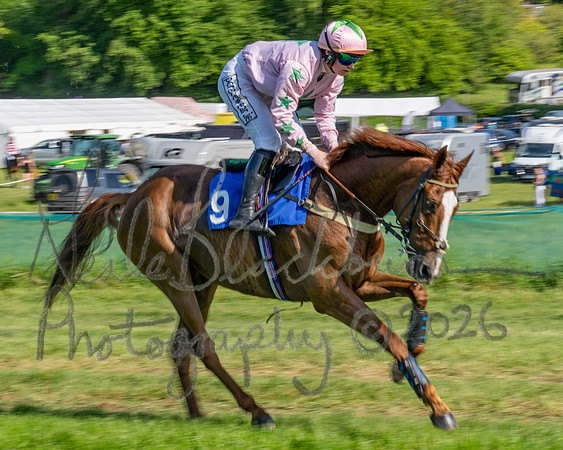 Race 5 - The Restricted (11 of 103)
