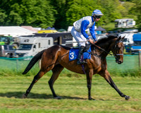 Race 5 - The Restricted (15 of 103)